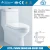 Import Germany hydro cleanse combination bidet toilet seat from China