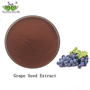 Grape Seed Extract for Antioxidation and Anti-aging skin care Proanthocyanidin 95%