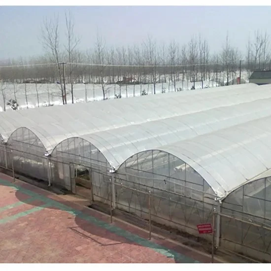 Green House Plastic Cover 200 Micron Uv Film,100% New Ldpe Material Agriculture Film,Vegetable Protect 8m Wide Rains Proof Film