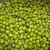 Import Green Mung/vigns Beans from Canada