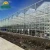 Import greenhouse types China greenhouse vegetable green house factory from China