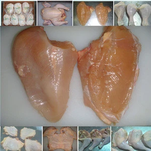 HALAL Frozen chicken breast fillet/best quality top quality chicken meat