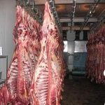 Halal Whole Frozen Mutton Carcass / Meat and Parts