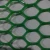 Import HDPE PP PE plastic wire mesh from China