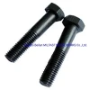 Hexagon Head Bolt (Black) (DIN931/DIN933)