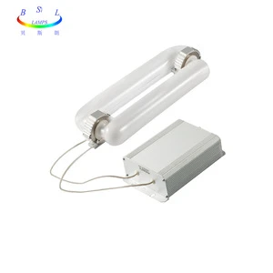 high efficiency price 150W 200W 300w induction lamp