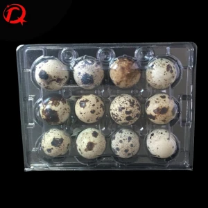 High qualilty PVC material Egg cartons 12 holes quail egg tray for packaging