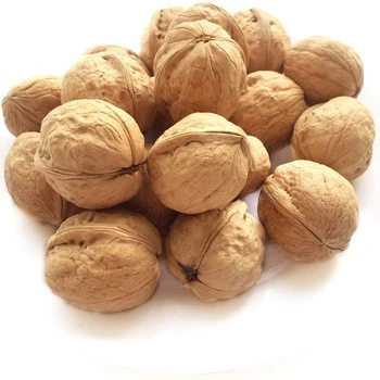 High Quality Factory Supply Walnuts Without Shell Walnut Kernel
