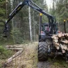High quality Forest machine atv log trailer with grapple