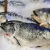 Import High Quality Fresh / Frozen Atlantic Salmon Fish from Thailand