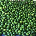 HIGH QUALITY FRESH GREEN LIME SEEDLESS FROM ASIA