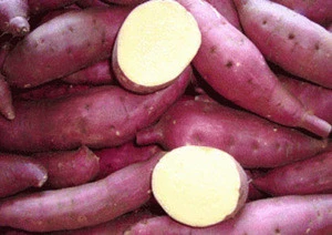 High Quality Fresh Sweet Potatoes from Farm in Indonesia