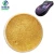 Import high quality gold metallic pigment golden bronze powder from China