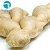 Import High Quality Natural Organic ginger extract, ginger extract powder from China