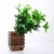 Import High quality new green cheap eco-friendly plastic artificial plant from China
