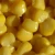 Import high quality wholesale canned sweet corn from china from China