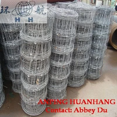 Hinge Joint Knot Field Fence (Huanhang Factory)