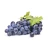 Import Hot Sale China Fresh Grapes Seedless Grapes Fresh from China