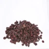 Hot Sale Fruit Preserved Organic Whole Dried Tart Cherries Wholesale Cheaper Regular Moisture - Non-Infused