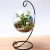 Import hot sale mouth blown glass with round bottom terrarium fish flower vase from China