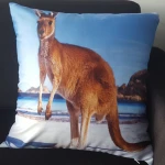 Hot Sell & High Quality Back Support Sofa Cushion Seat Cushion Car Cushion
