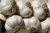 Import Indian High quality Garlic from India