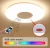 Import Inteligence and residential 24W Bluetooth APP Speaker LED ceiling light from China