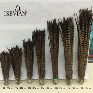 ISEVIAN Cheap Dyed feathers 10-100cm Natural Reeves Pheasant Tail Feathers