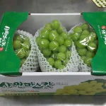 Korea Grown Fruit Green White Grapes Seowooha Shine Muscat Fresh Delicious High Sugar Naturally Sweet  Healthy Fruits for family