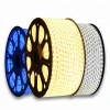 LED strip light SMD 5050/3528 outdoor flexible rope light 1 m cutting waterproof IP 44 IP 65 rope light