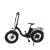 Import Lithium Battery Electric Bicycle with 20&quot; Wheel Fat Tyre (ML-FB001) from China