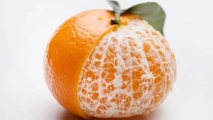 Mandarin orange citrus fruits