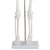 Import Medical Science Teaching 85cm Skeleton Model with Nerves and Blood Vessels from China