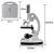 Import Microscope Kit for Kids Beginners Educational Science Kit Magnifications from 300x to 1200x from China