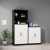 Import Modern Modular Furniture Office Stylish European Design Wood Cabinet Office from China