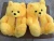 Import mother day gifts 2021  mom and me  kids Teddy bear slippers  21 colors  fuzzy teddy  House Teddy Bear Slippers for Women Girls from China