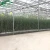 Import Multi-span dutch venlo glass Greenhouse Tomato Greenhouse and Strawberry Greenhouse Turnkey Project from China