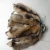 Import Natural raw Raccoon skins high quality raccoon dog animal pelt fur from China