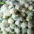 Import new corp Chinese cauliflower for sale high quality and low price from China