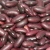 Import New crop dark red kidney bean for sale from China