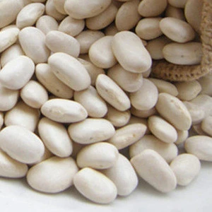New Crop White  Kidney Beans, Butter Beans