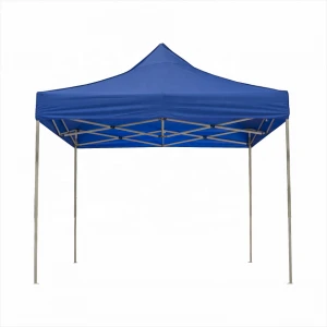 New design canopy  gazebo folding tent
