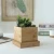 Import new design natural bamboo pot plant holder with plant tray from China