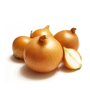 (NEW) Exporters: Chinese Onion Price