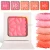 Import New Fashion Blush/Professional blusher/Individual 5 colors single blusher/private label cosmetics blush powder from China
