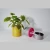 Import new fashion design fiber glass carbon fiber flower plant pots self watering decoration planter home garden from China