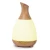 Import New Flower Vase Electric Air Freshener Danq Humidifier Price Luchtbevochtiger Essential Oil Aroma Diffuser from China