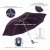 Import new product foldable inverted umbrella and reverse folding umbrella with free shipping from China