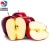 Import New season Chinese Huaniu apple red delicious apple price fresh apple from China