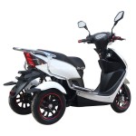 New Style 3 Wheel Electric Mobility Scooter Trike, Electric Disabled Tricycle with Windshield